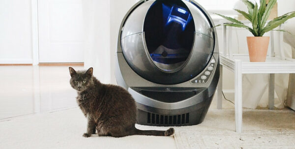 cat by a litter robot