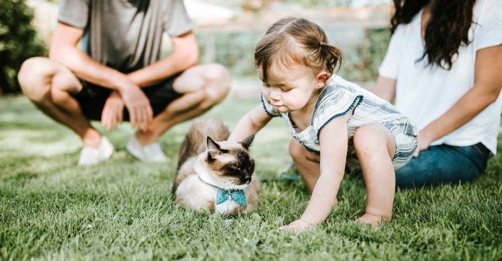 Family with a cat