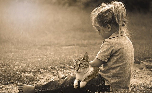 Little girl outside with a cat in her lap
