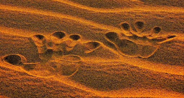 Sand dunes with handprints in them