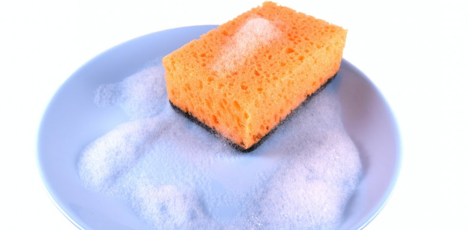 sponge