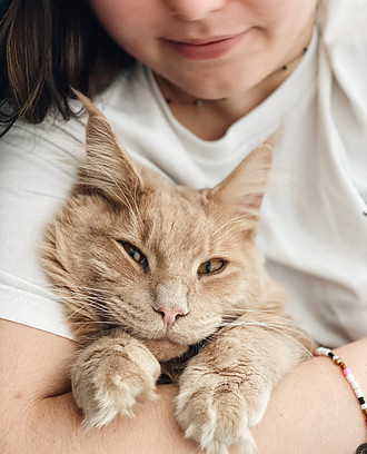 Child with cat in her arms, cat smiling