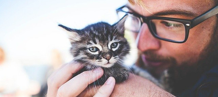 Man with a happy kitten in his hands