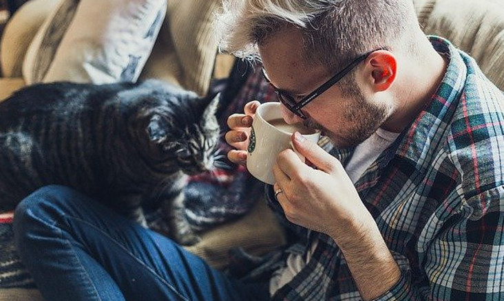 Cat with a man having coffee