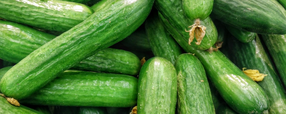 cucumbers