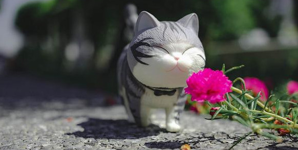A small toy cat