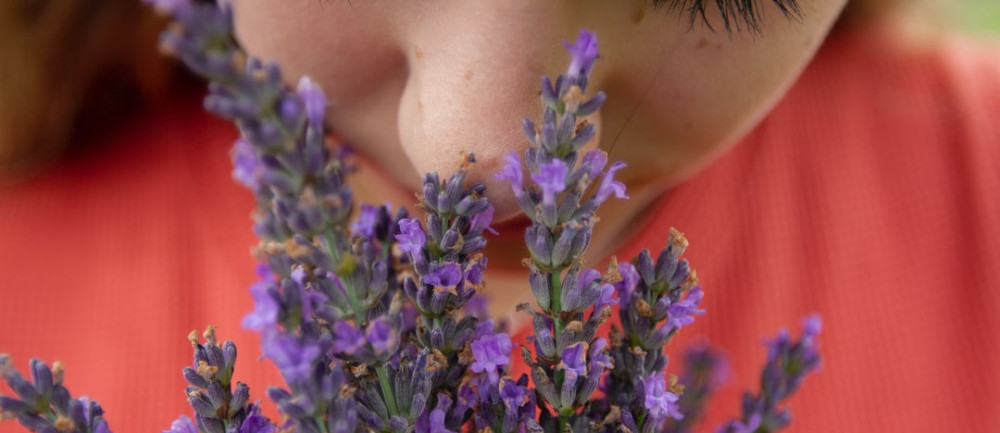 person smelling lavender