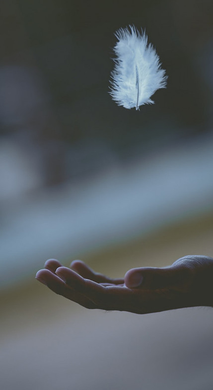 Hand out to catch a feather in the air