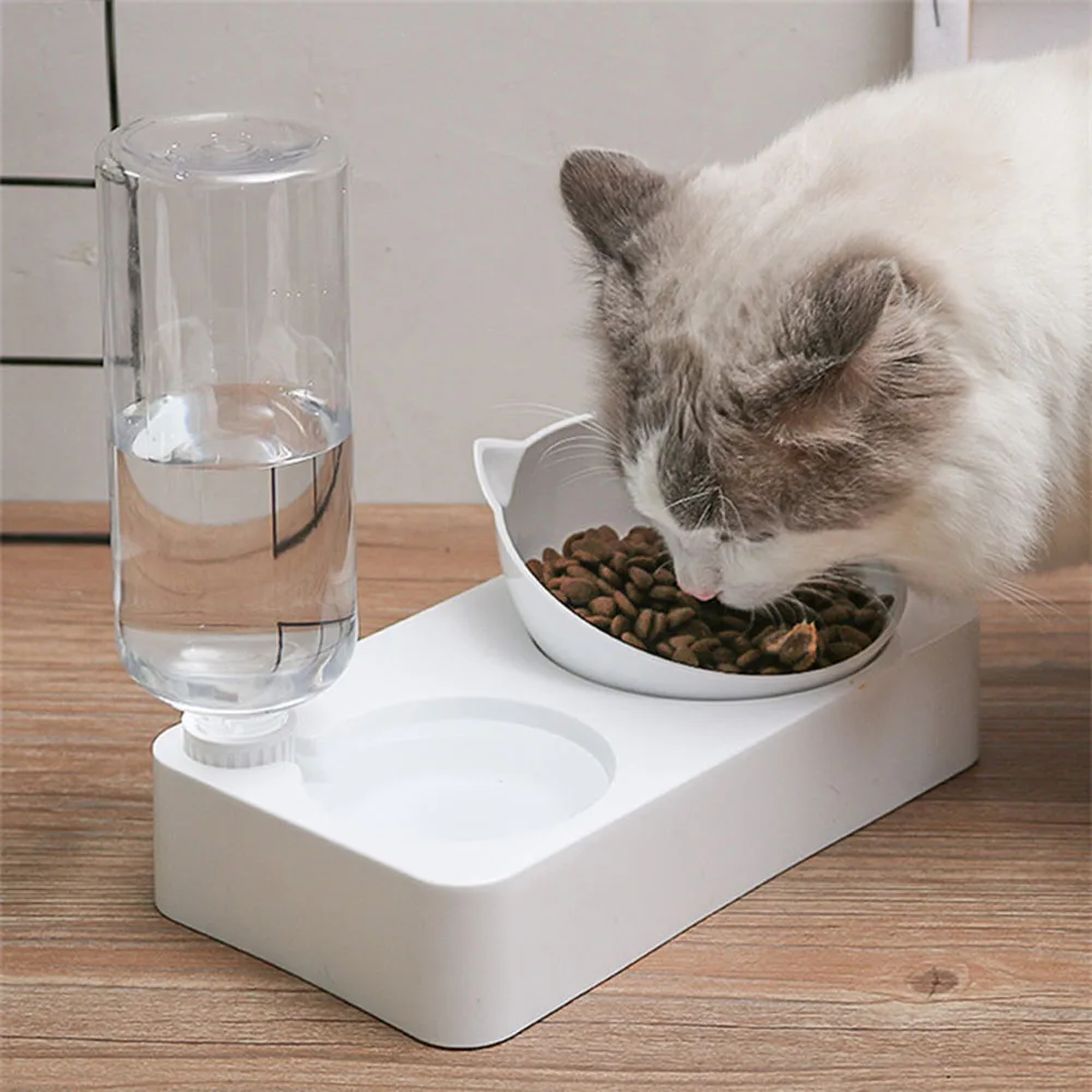 Cat's Food and Water Bowl Cat's Food and Water Bowl