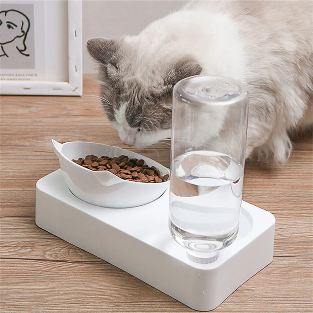 Cat's Food and Water Bowl Cat's Food and Water Bowl