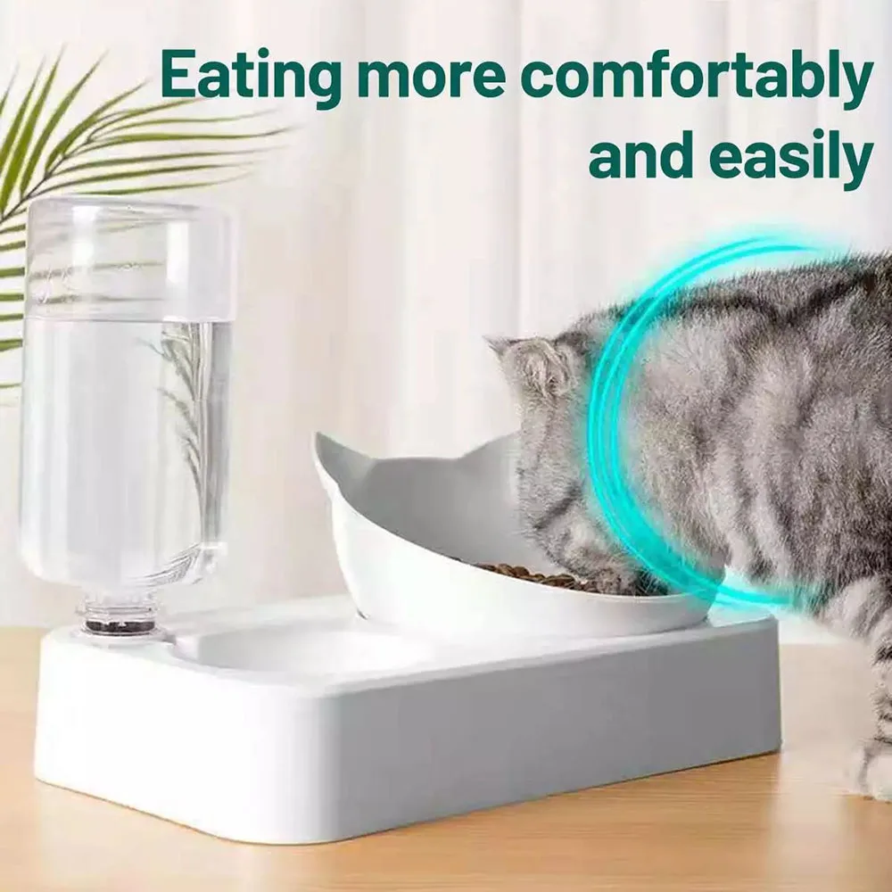 Cat's Food and Water Bowl Cat's Food and Water Bowl