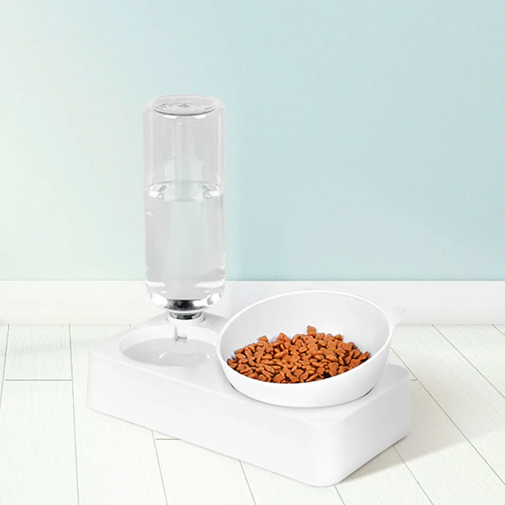 Cat's Food and Water Bowl Cat's Food and Water Bowl
